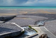 photo juillet 2022 Floriane